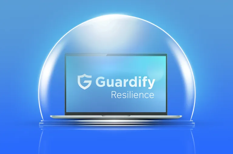 Asset Protection (1) - Guardify